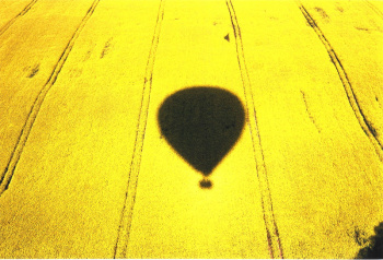 Heißluftballon über einem Rapsfeld